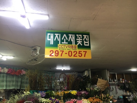대지꽃집 이미지