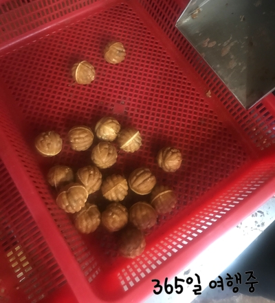 천안당호두과자 이미지