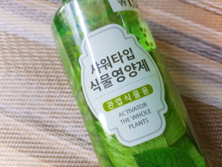 다이소구미문성지구점 이미지