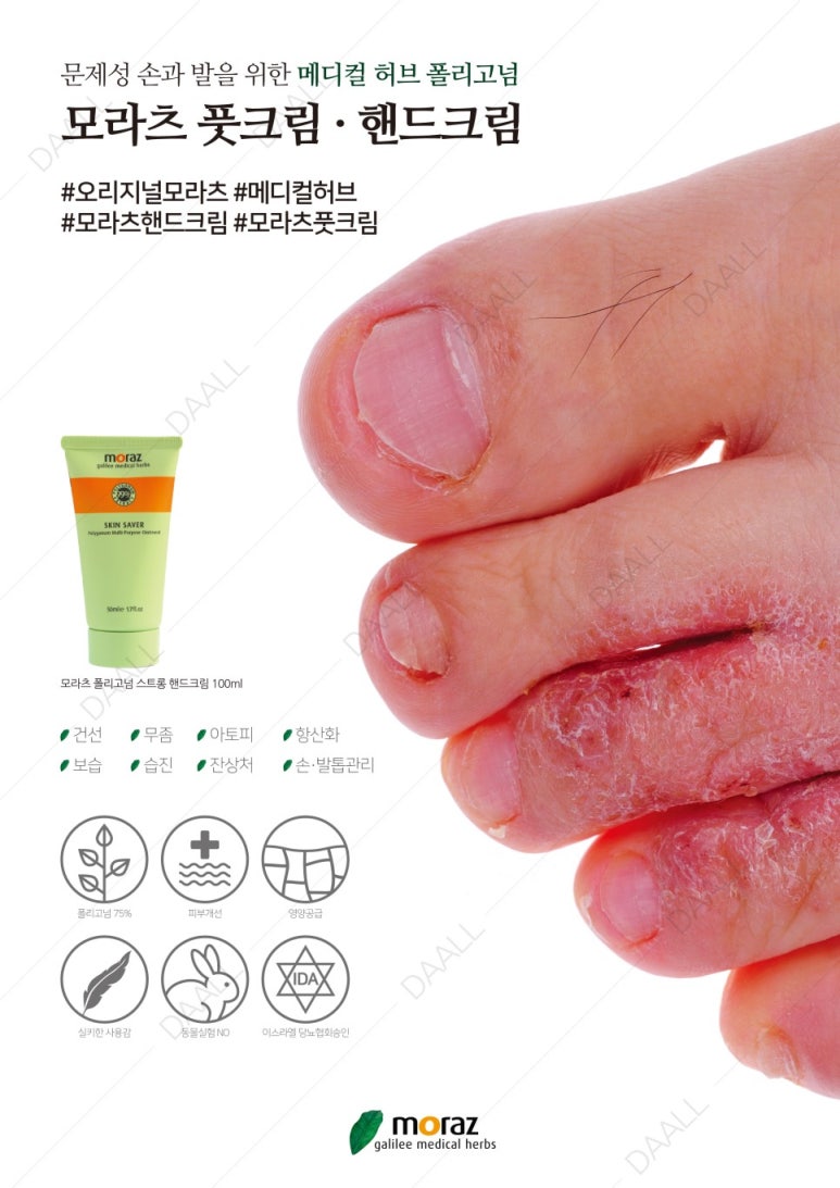 모라치 이미지