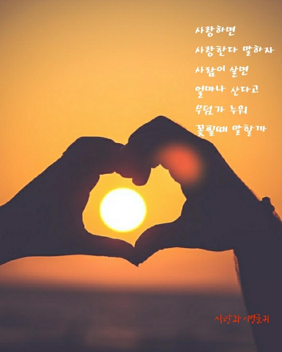 다모아식당 이미지