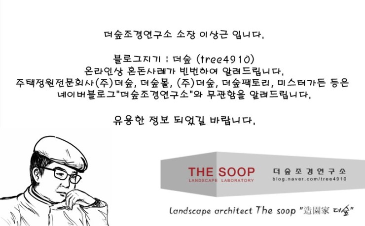 헤세드(hesed) 이미지