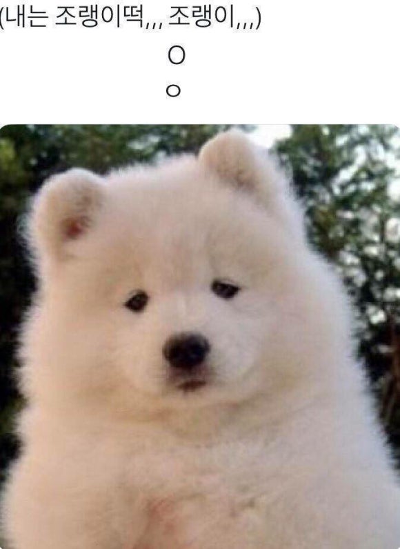 복 이미지