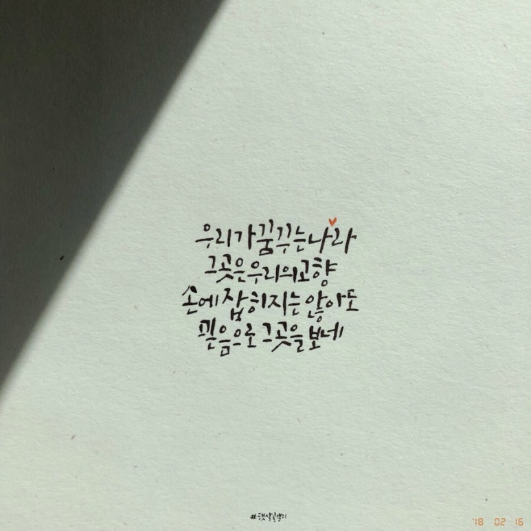 콩나라 이미지