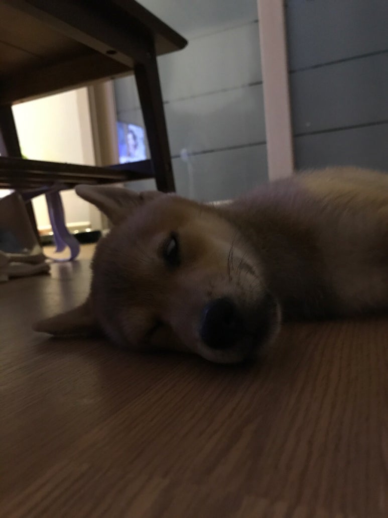 이*호 이미지