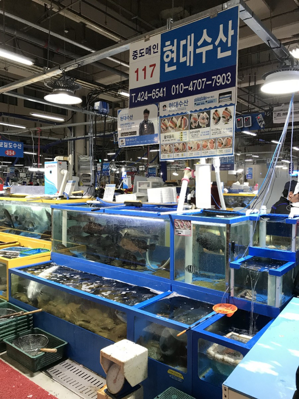 최강회수산 이미지