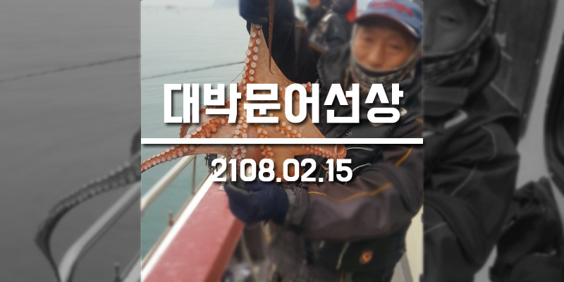 거제진선장 이미지