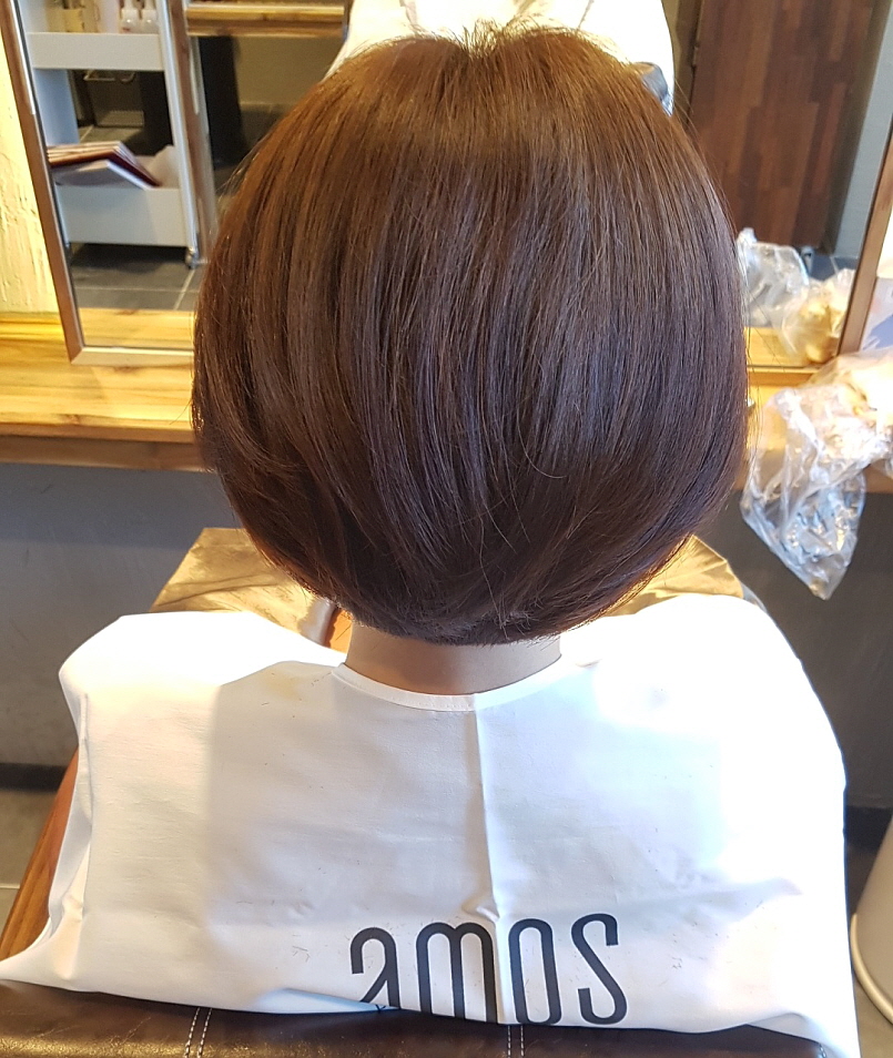 살롱드스텔라 이미지