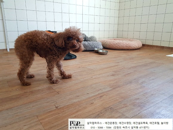 설악광고 이미지