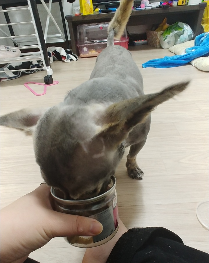 다온트레이드 이미지