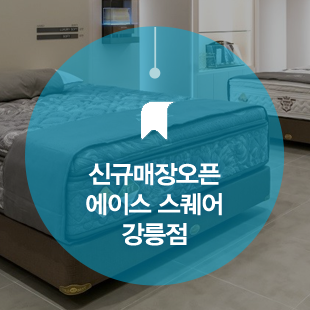 에이스침대에이스스퀘어강릉점 이미지