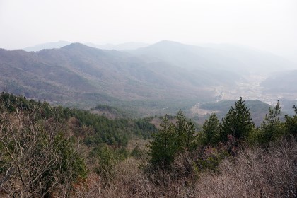 개금약초 이미지
