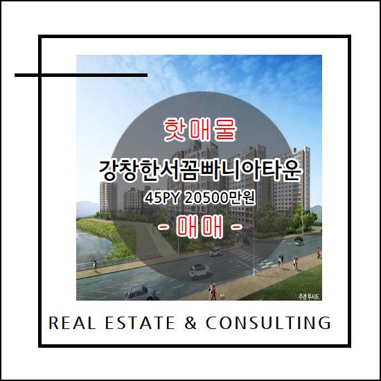 꼼빠니아 이미지
