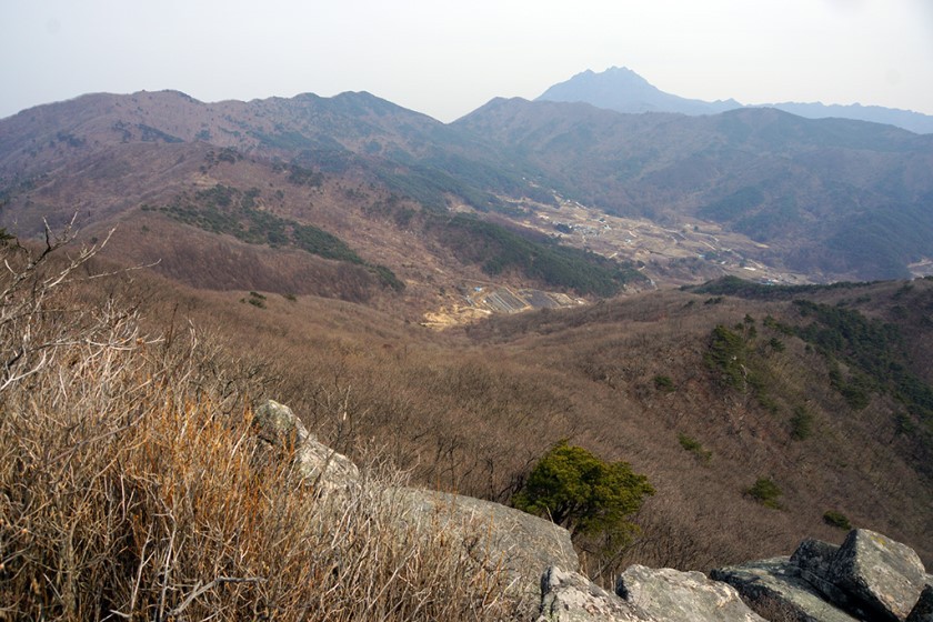 개금약초 이미지