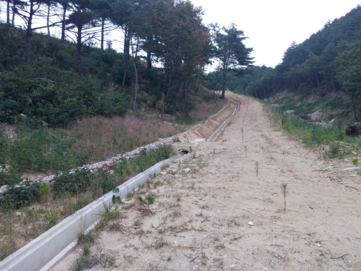 엔젤컨설팅 이미지