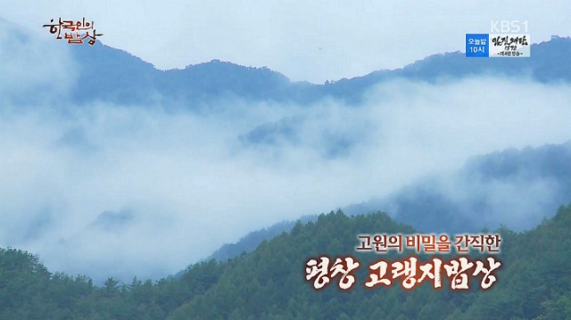 평창진이네오미자농장 이미지