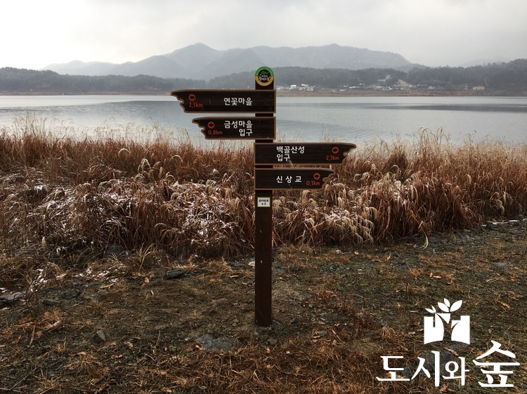 (주)도시와 숲 이미지