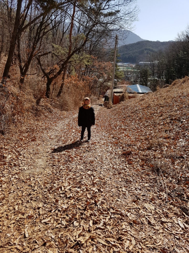 강산유치원 이미지