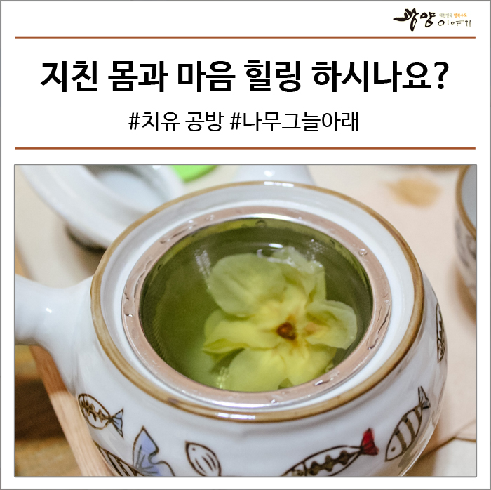 나무그늘공방 이미지