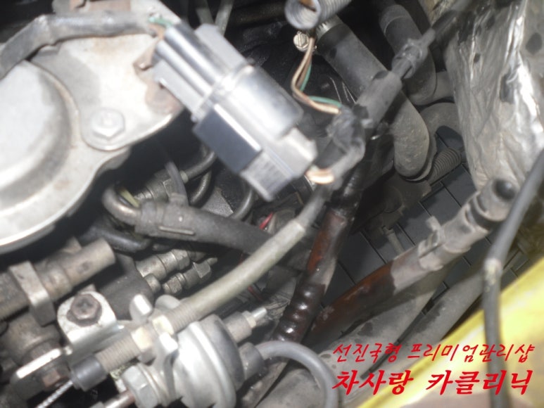 차사랑카클리닉 이미지