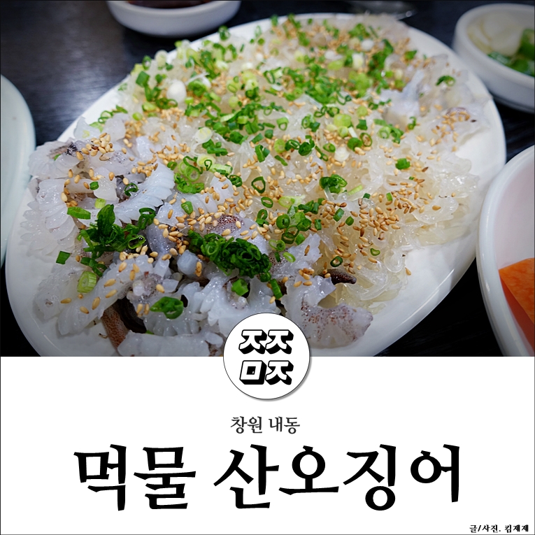 먹물산오징어 이미지