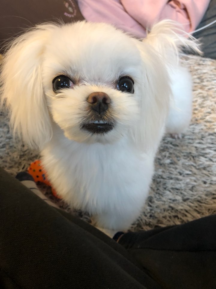 두온 이미지