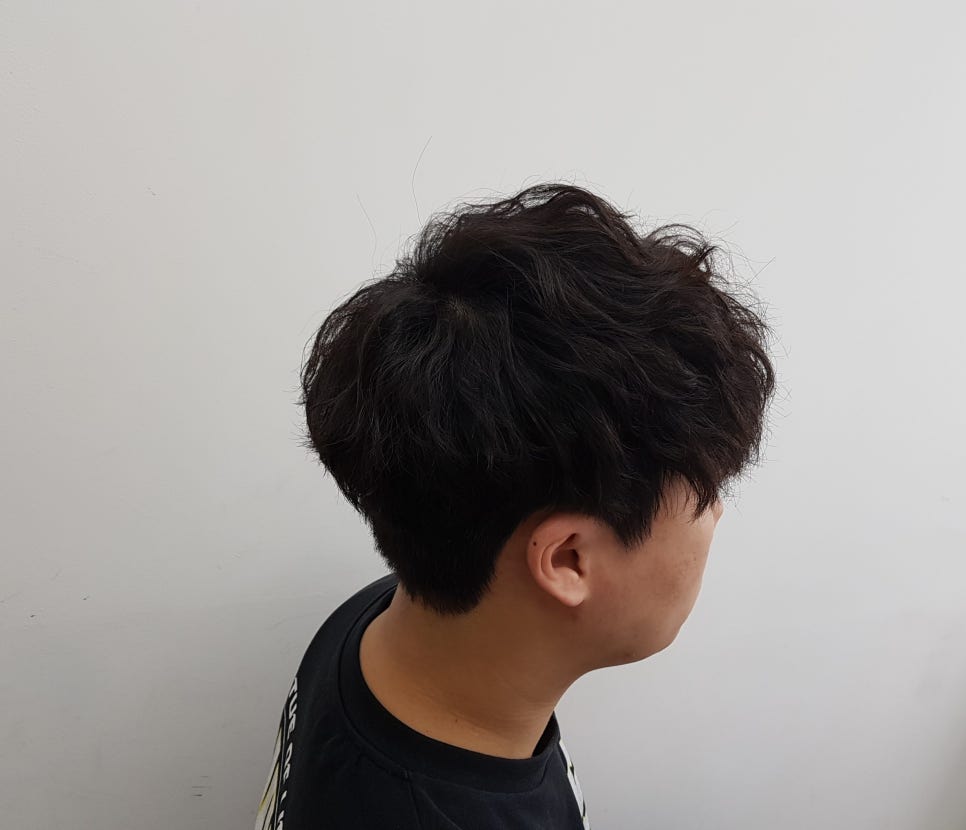 라비 헤어 이미지