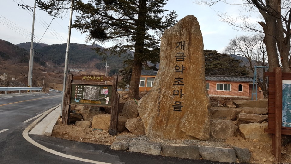 개금약초 이미지
