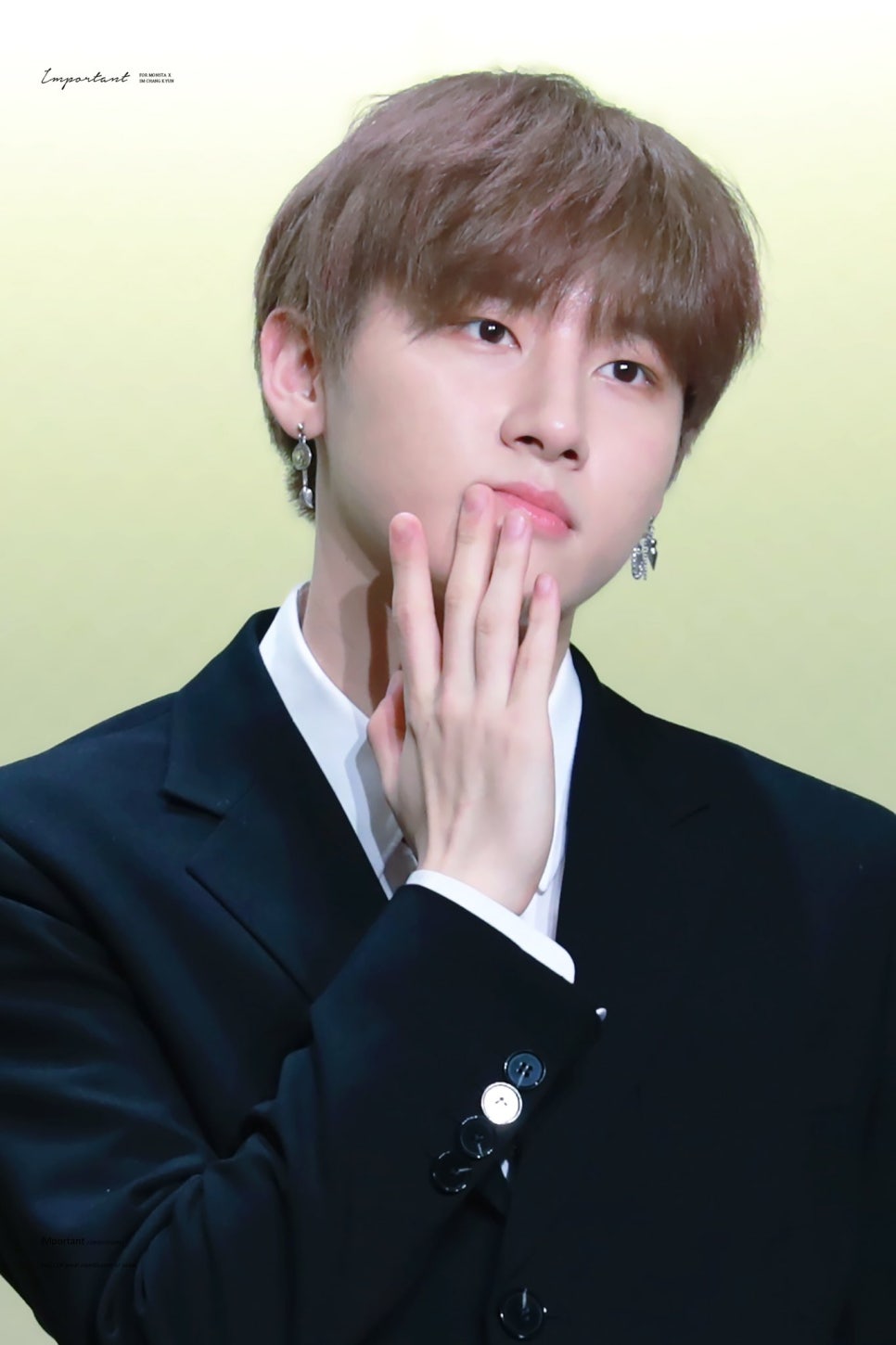 미미손 이미지