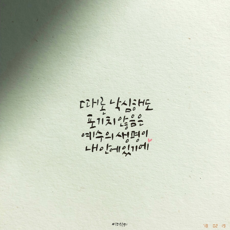 콩브라운 이미지