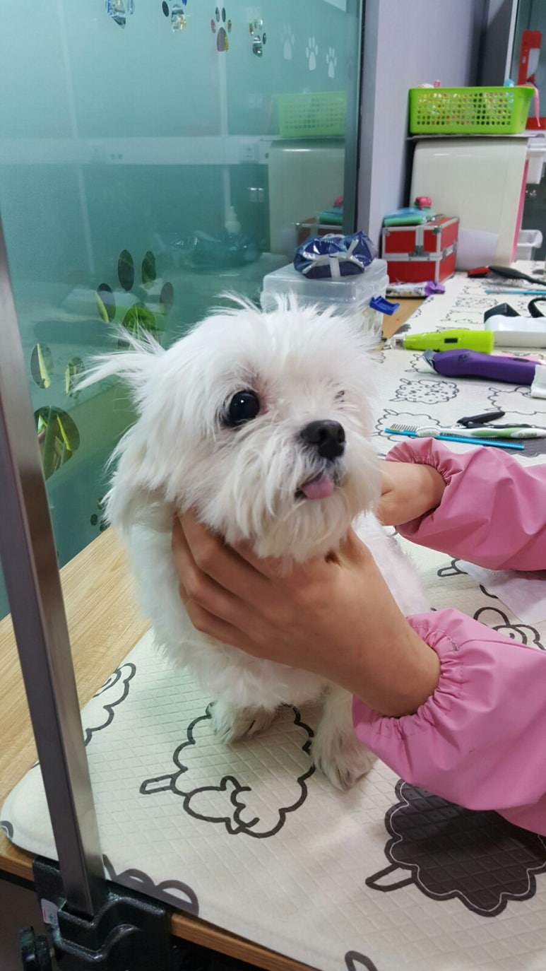 미쉘미용실 이미지