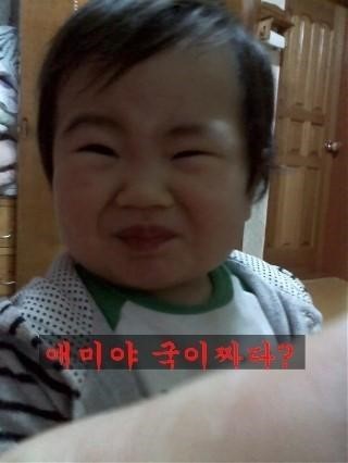 잭슨빌 이미지