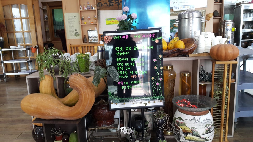 다솜차반 이미지