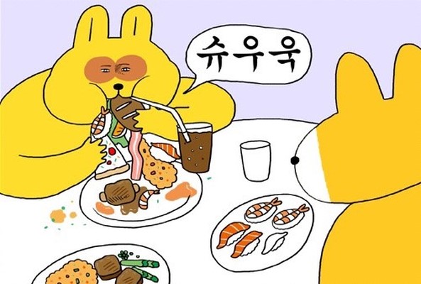 노블초이스 이미지