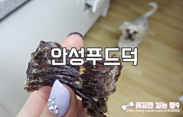 안성푸드덕 이미지