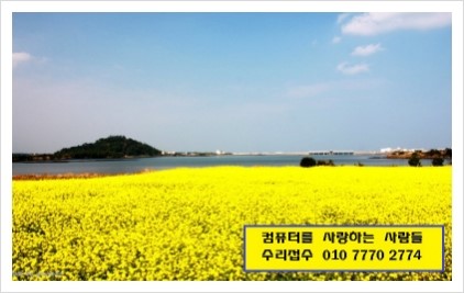 마이크로닉 이미지