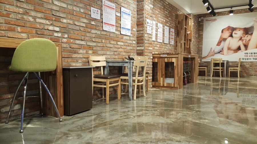 워시테리아 이미지