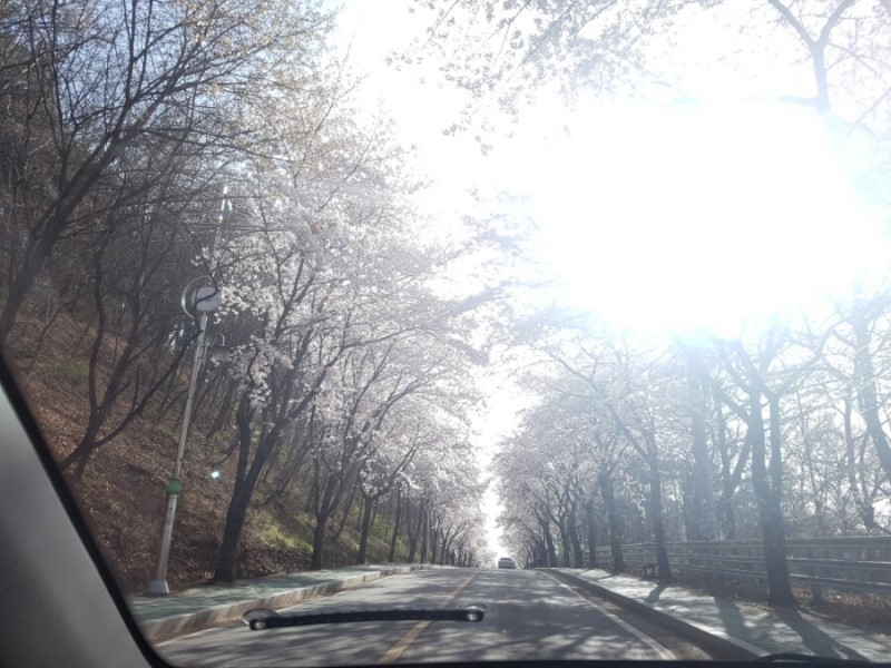 네일무드밤 이미지