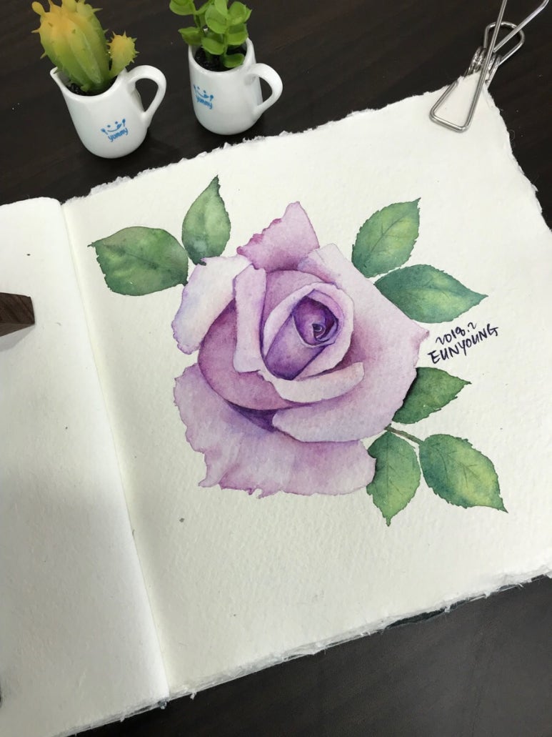 미림칼라 이미지