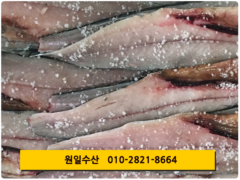 원일수산 이미지