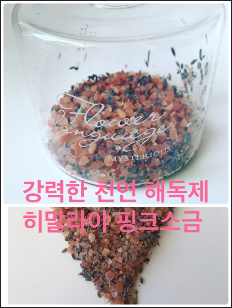 바디톡플러스 이미지