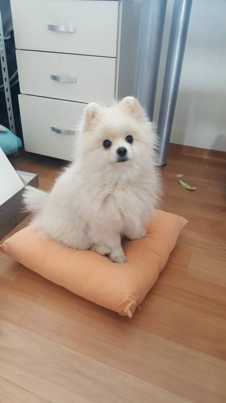서준전자 이미지