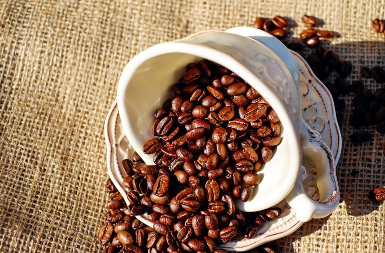 카페호감(cafe호감) 이미지