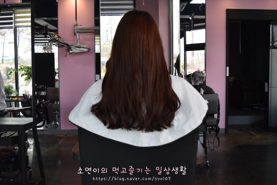 누군가의 꽃 이미지