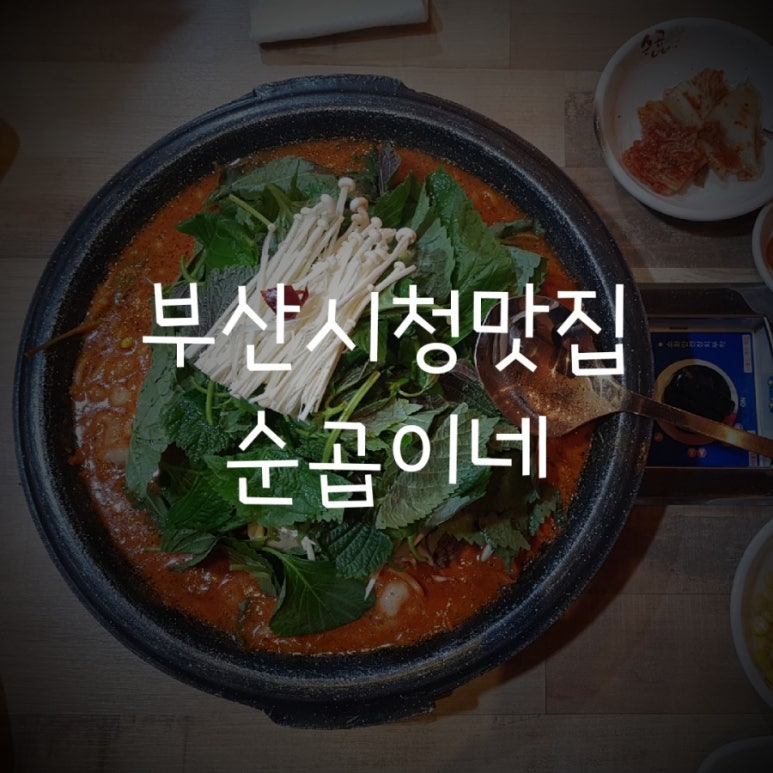 순곱이네 이미지