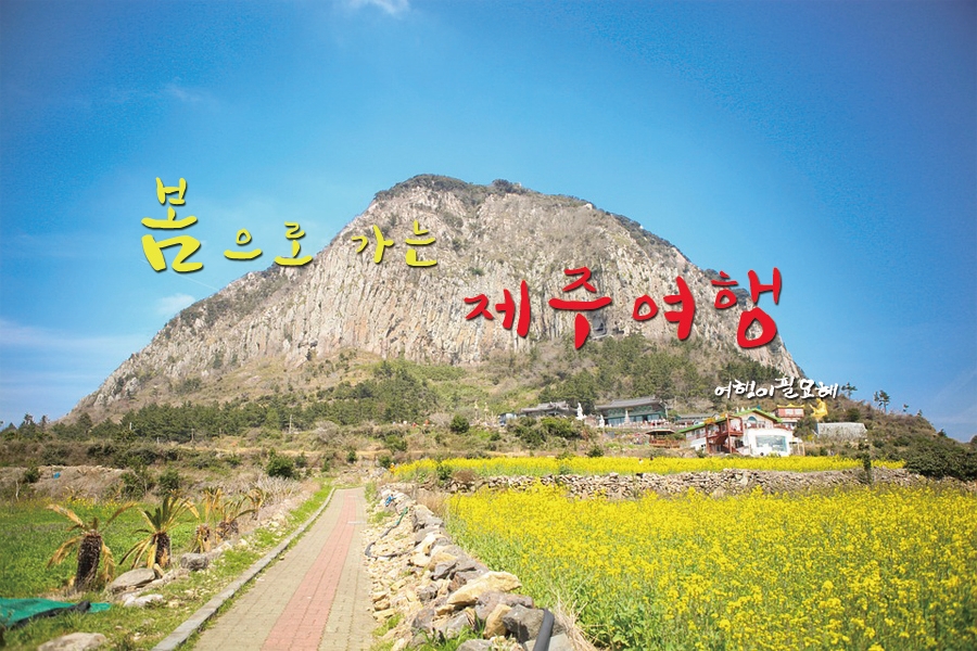 오리엔탈렌터카주 이미지