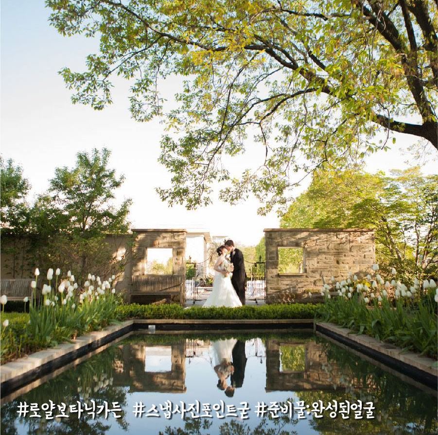 투어킹 이미지