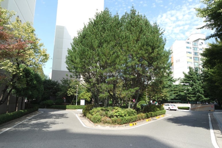오마초등학교 이미지