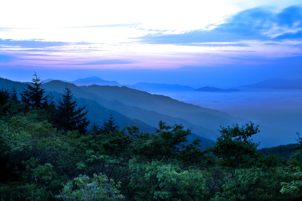 지리산리조트 이미지