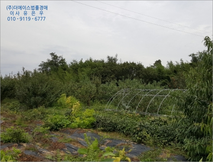 더과수원 이미지
